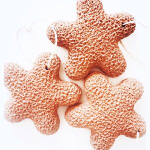 New Clay Starfish Foot Pumice